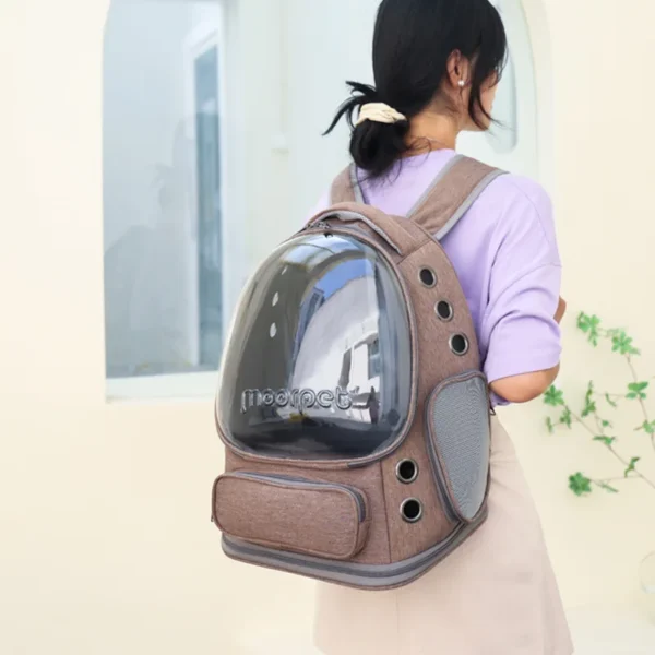 Transparent Folding Pet Carrier Backpack Travel